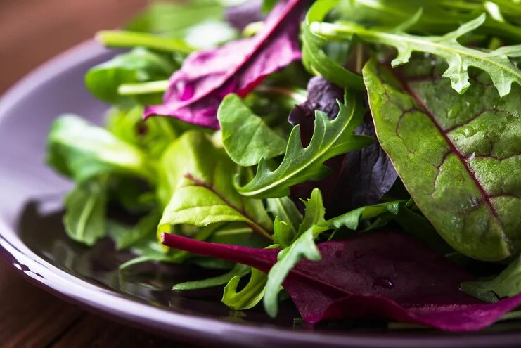 Imagen de un plato de ensalada con mix de hojas verdes comestibles